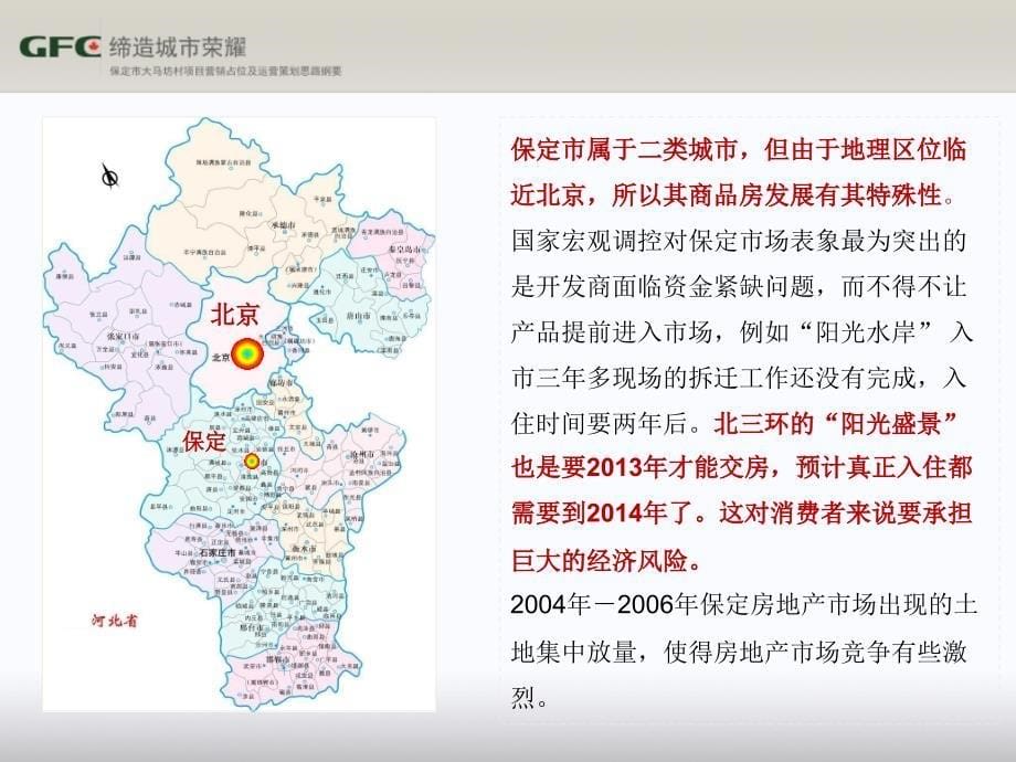 某房地产项目营销占位及运营策划思路纲要_第5页