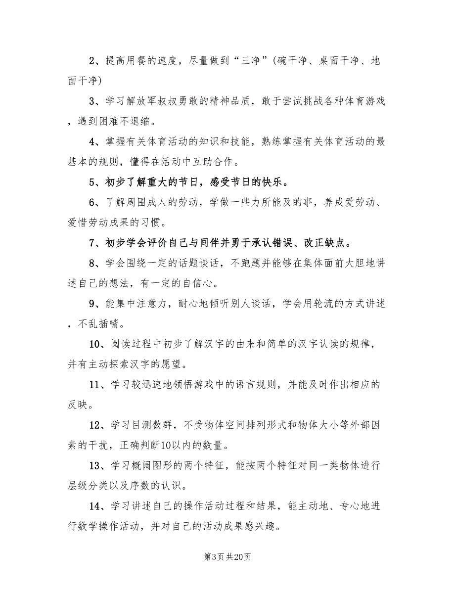 大班教育教学班级工作计划(5篇)_第3页