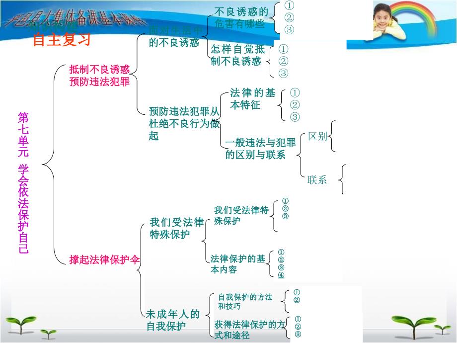 第七复习学会依法保护自己_第4页