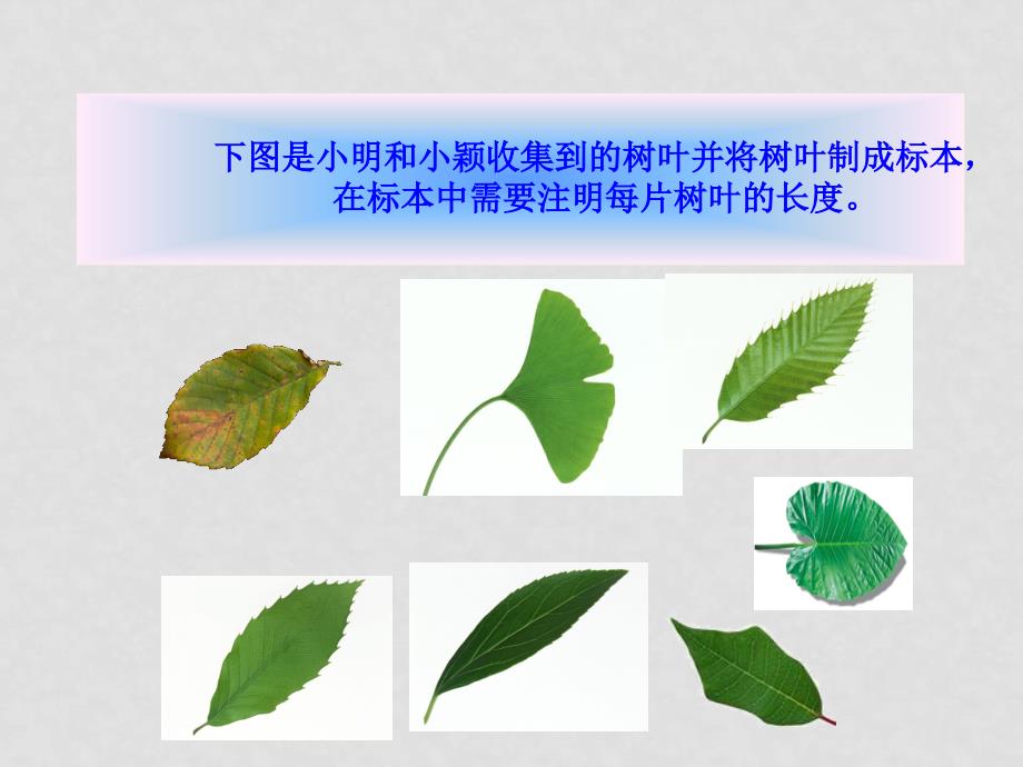 七年级数学上册15有理数的乘方课件2人教版_第3页