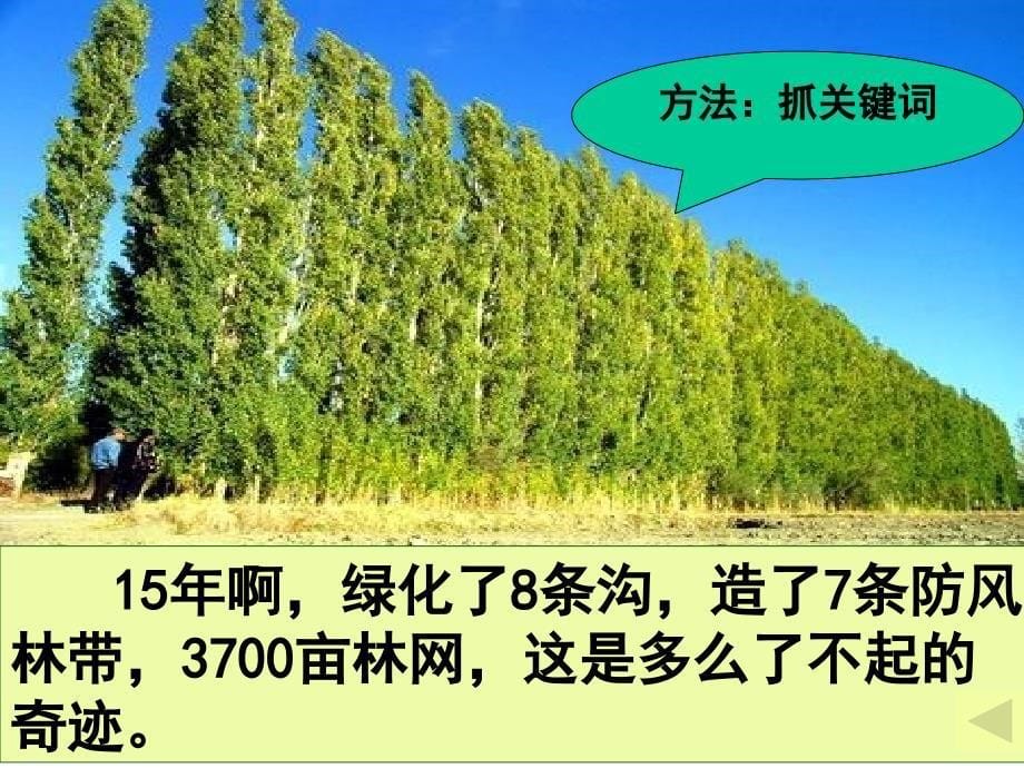 《青山不老》PPT_第5页