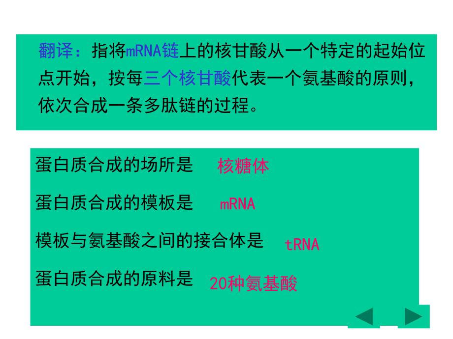 华中农大分子分子生物学第4章课件_第2页