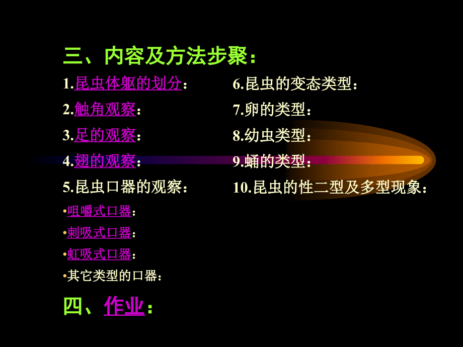 实验二昆虫形态及生物学_第2页