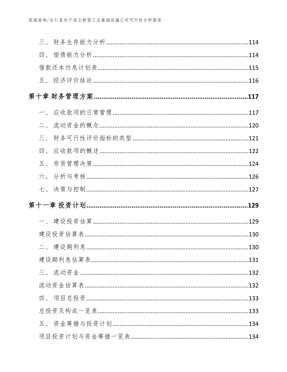 永仁县关于成立新型工业基础设施公司可行性分析报告_第5页
