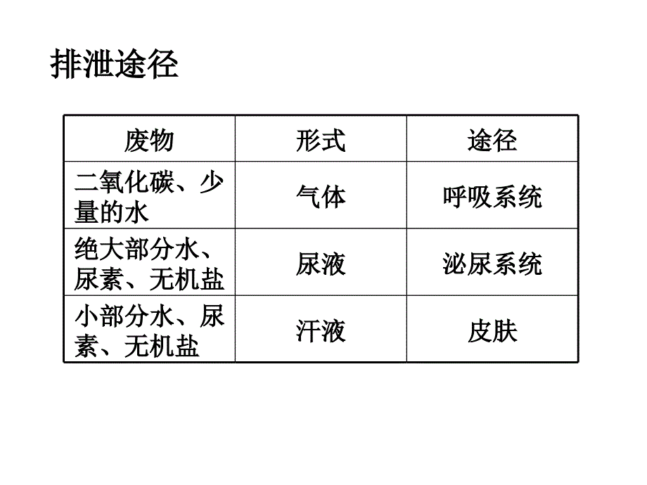 第2节人体内废物的排出_第4页