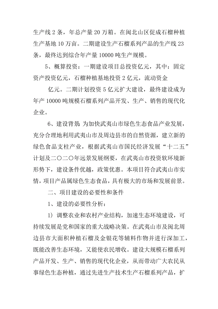 项目立项报告模板_第4页