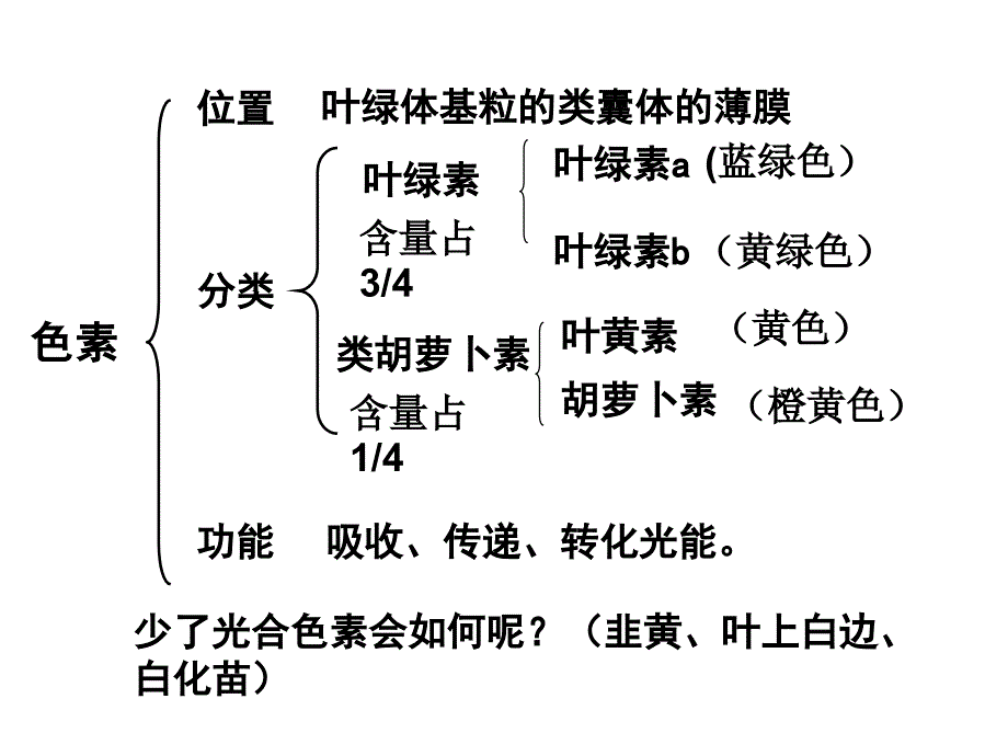 叶绿素的提取实验以及光合作用的影响因素课件_第4页