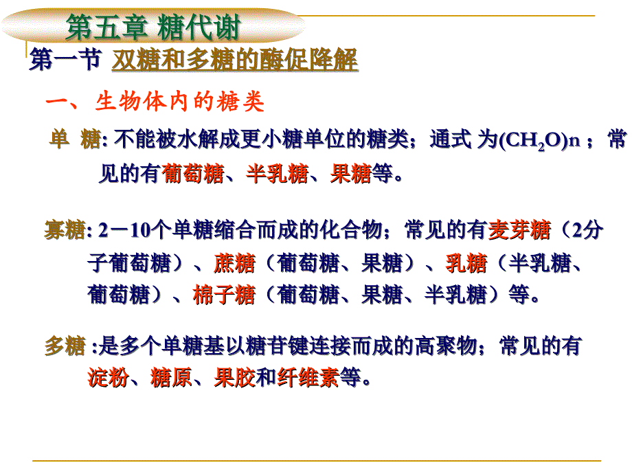 生物化学：第五章 糖代谢_第3页