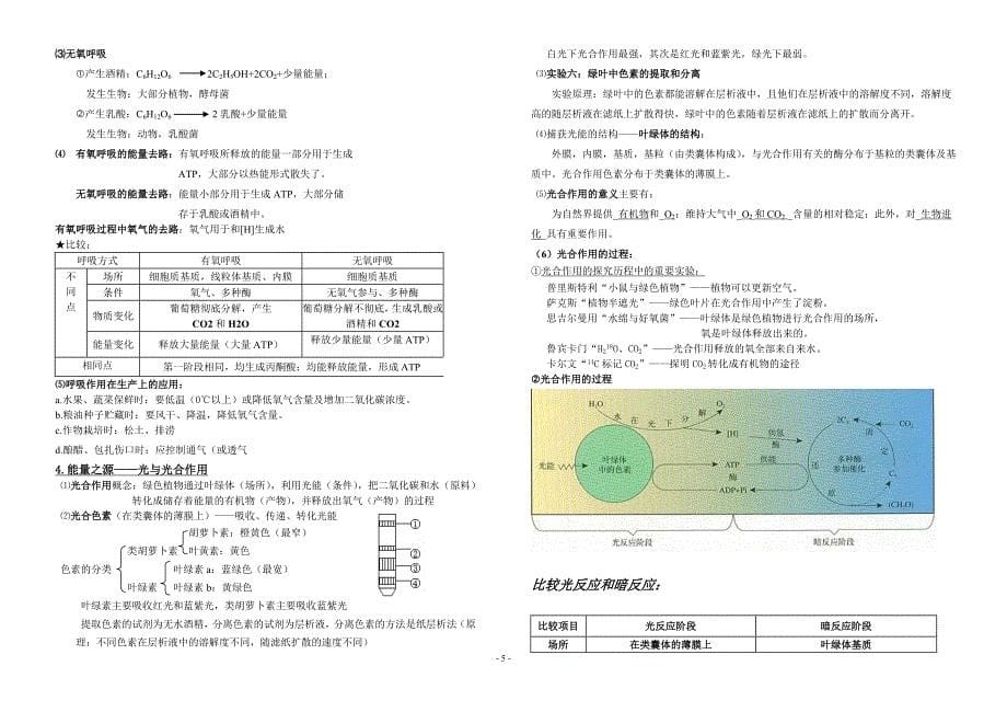 高中生物必修1知识总结.doc_第5页