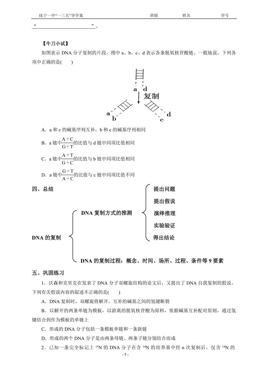 第三节DNA的复制_第5页