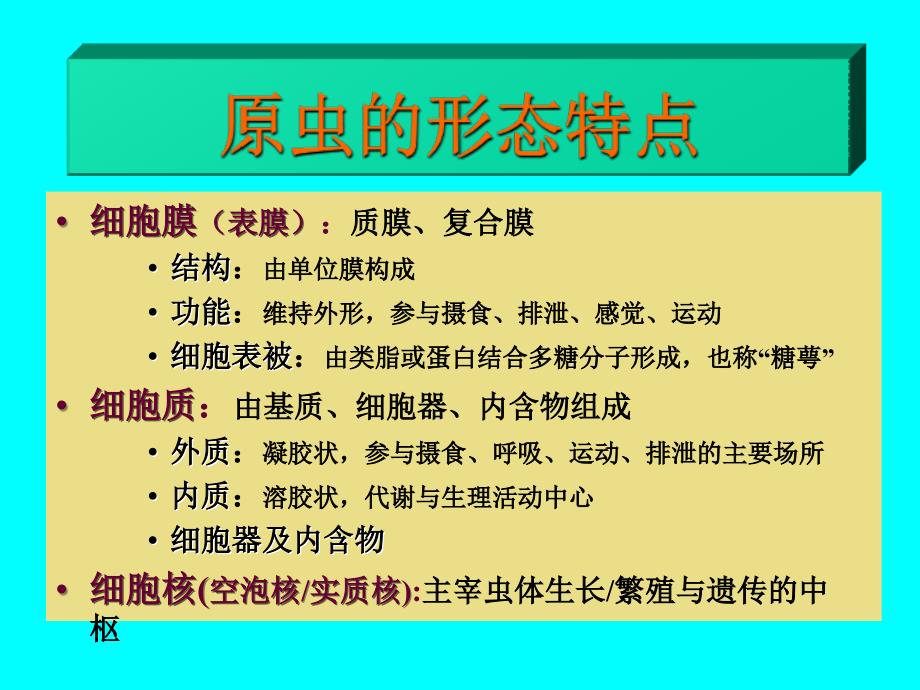 b寄生虫学第十讲原虫概论阿米巴课件_第4页