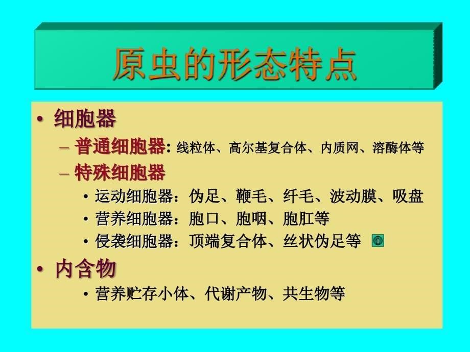 b寄生虫学第十讲原虫概论阿米巴课件_第5页