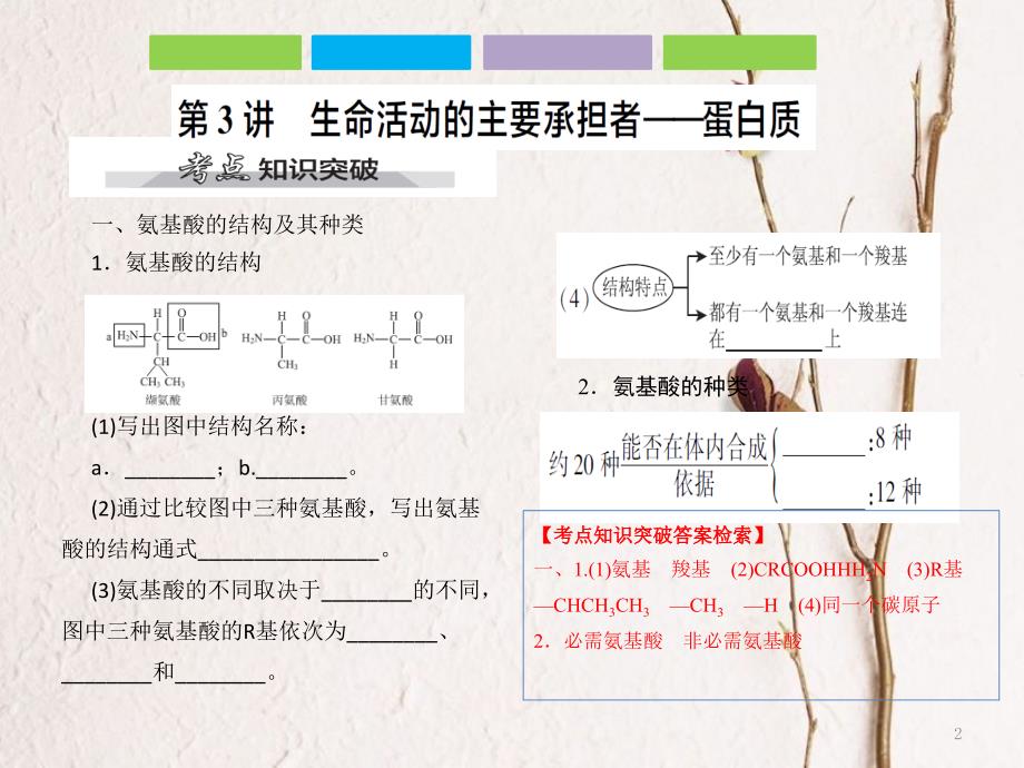 （全国卷 地区专用）高考生物总复习 第一单元 细胞及其分子组成 第3讲 生命活动的主要承担者——蛋白质课件_第2页