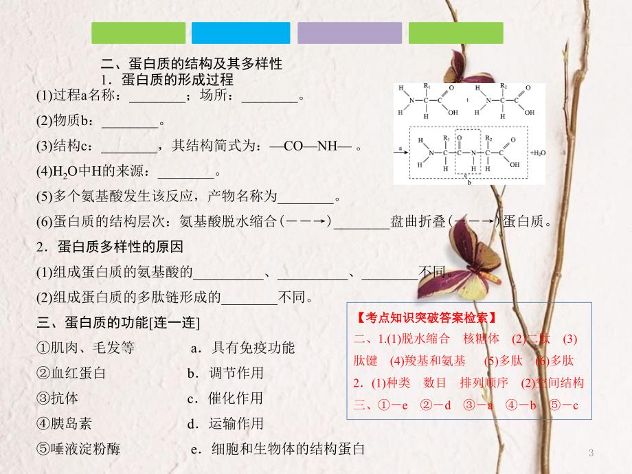 （全国卷 地区专用）高考生物总复习 第一单元 细胞及其分子组成 第3讲 生命活动的主要承担者——蛋白质课件_第3页