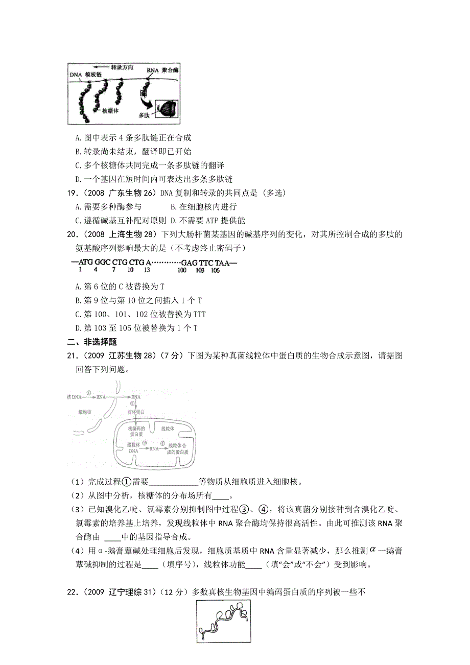 2007-2009年高考生物 遗传的分子基础真题演练分类解析 新人教版必修2_第4页