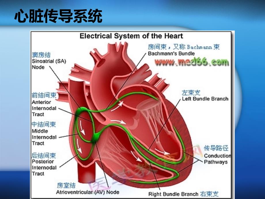 射频消融术及其护理_第3页