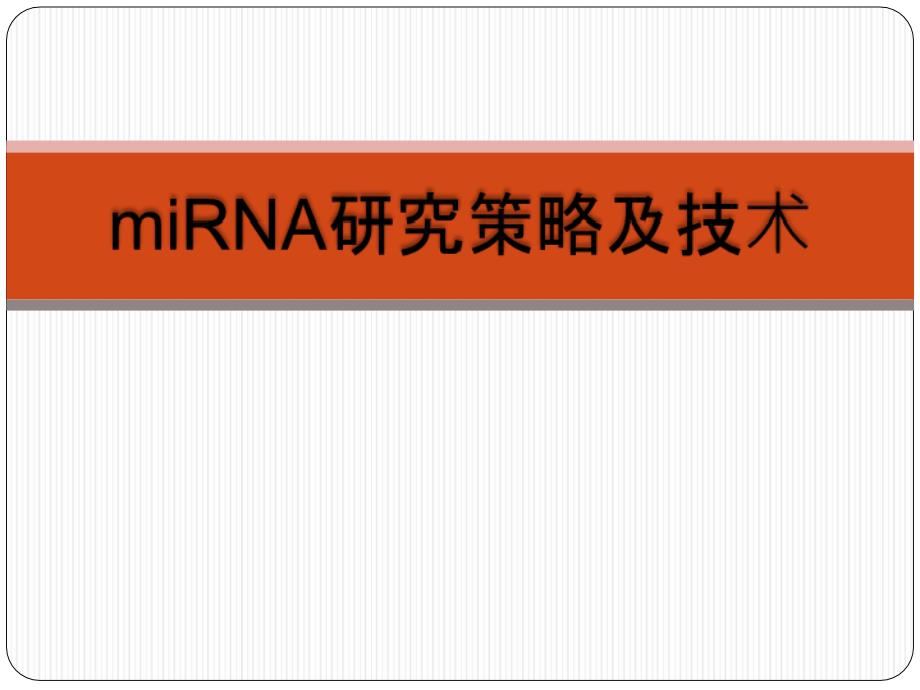 miRNA研究策略及技术课件_第1页