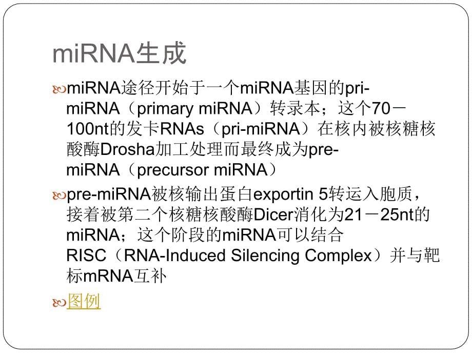 miRNA研究策略及技术课件_第5页