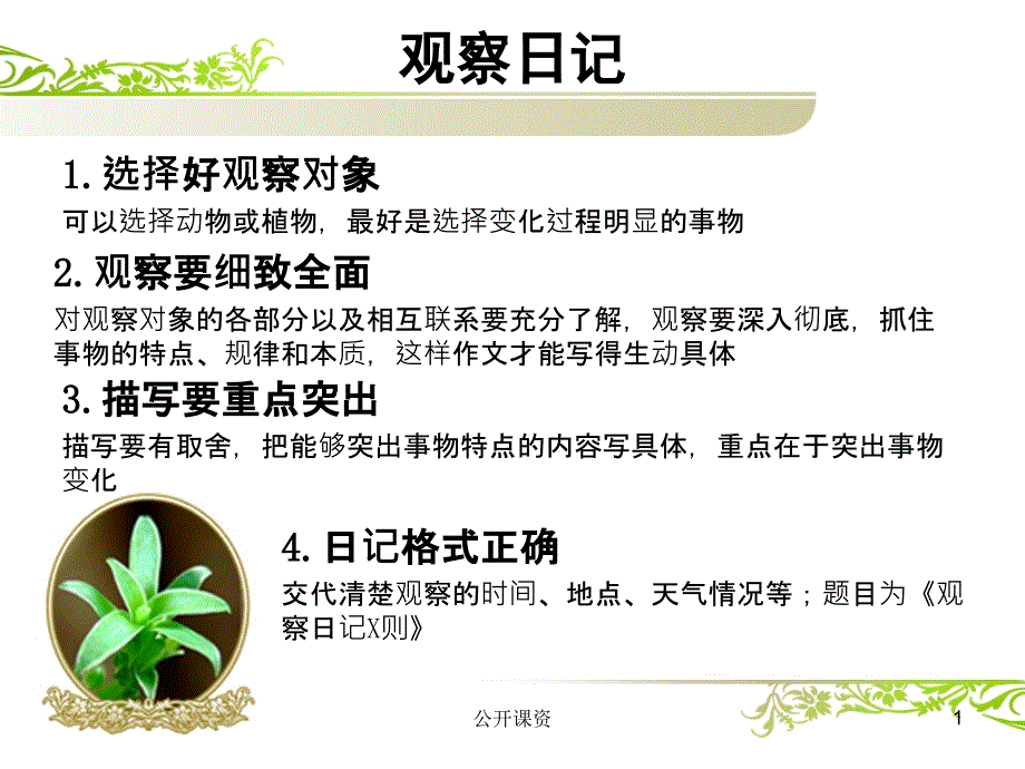 绿豆芽观察日记PPT(学习课资)课件_第1页