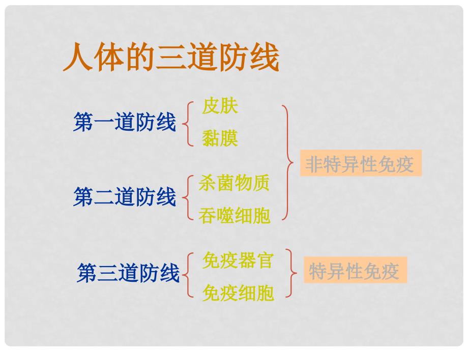 七年级生物下册 第三单元 第六章 免疫与健康复习课件1 济南版_第4页