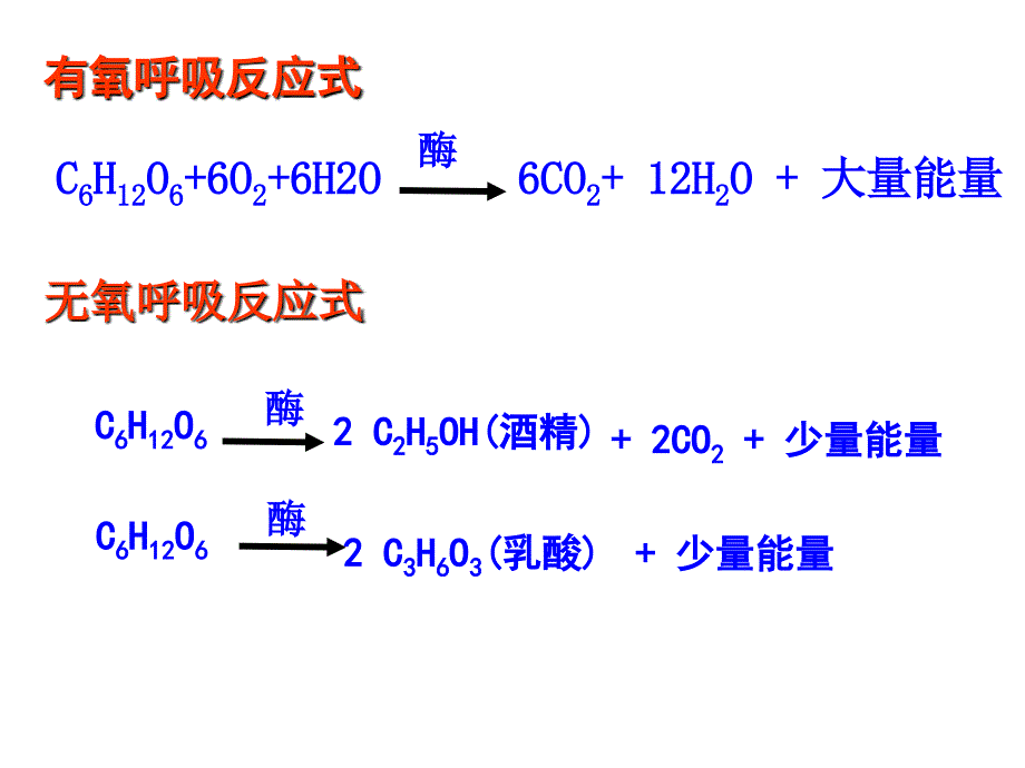 细胞呼吸原理的应用1111_第2页