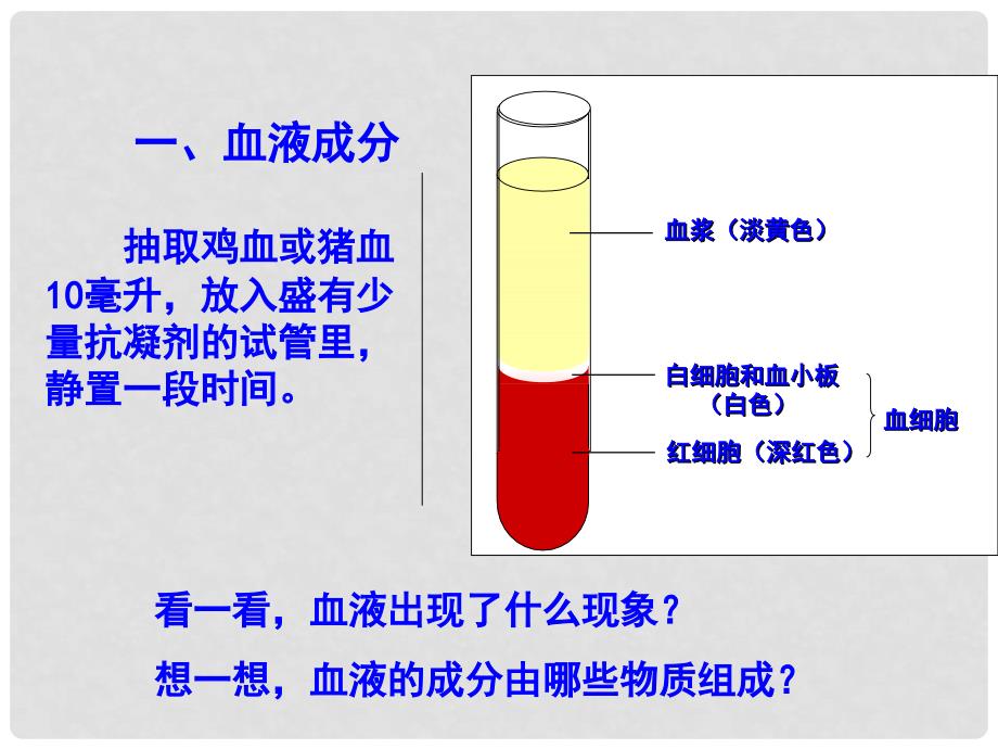 七年级生物下册 第九章 人体内的物质运输 第一节 血液课件 北师大版.ppt_第2页