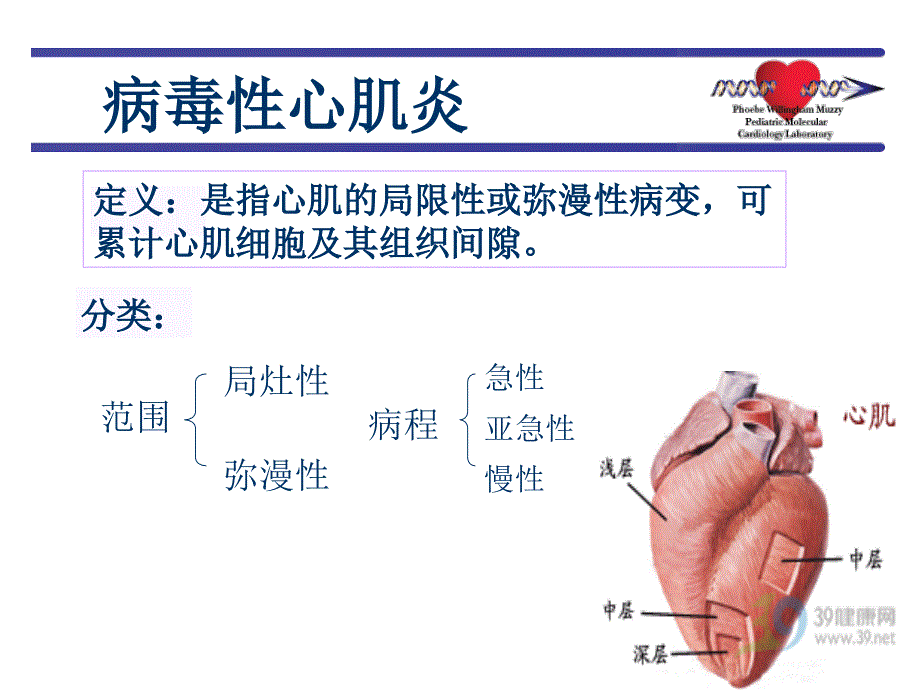 病毒性心肌炎教学课件_第3页