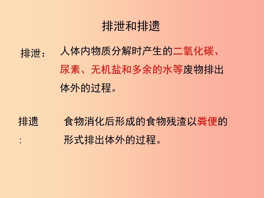 七年级生物下册 4.5《人体内废物的排出》复习课件1 新人教版.ppt_第3页