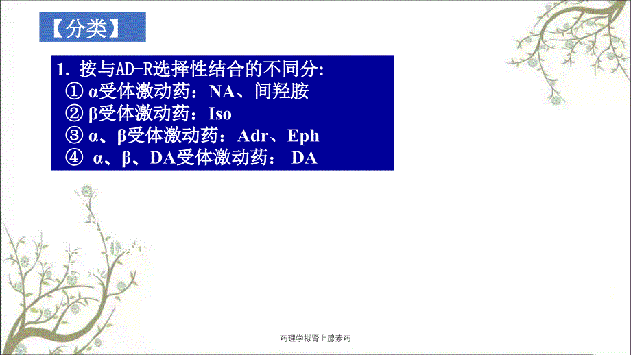 药理学拟肾上腺素药_第4页