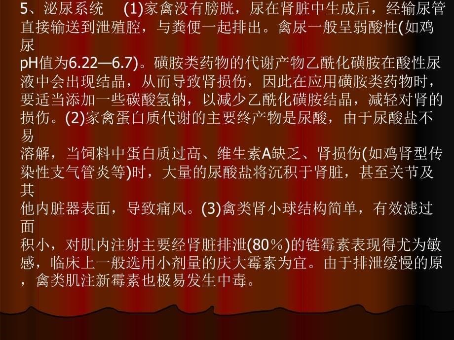 医学专题：养鸡与鸡病防治演讲稿[1].ppt.lnk_第5页