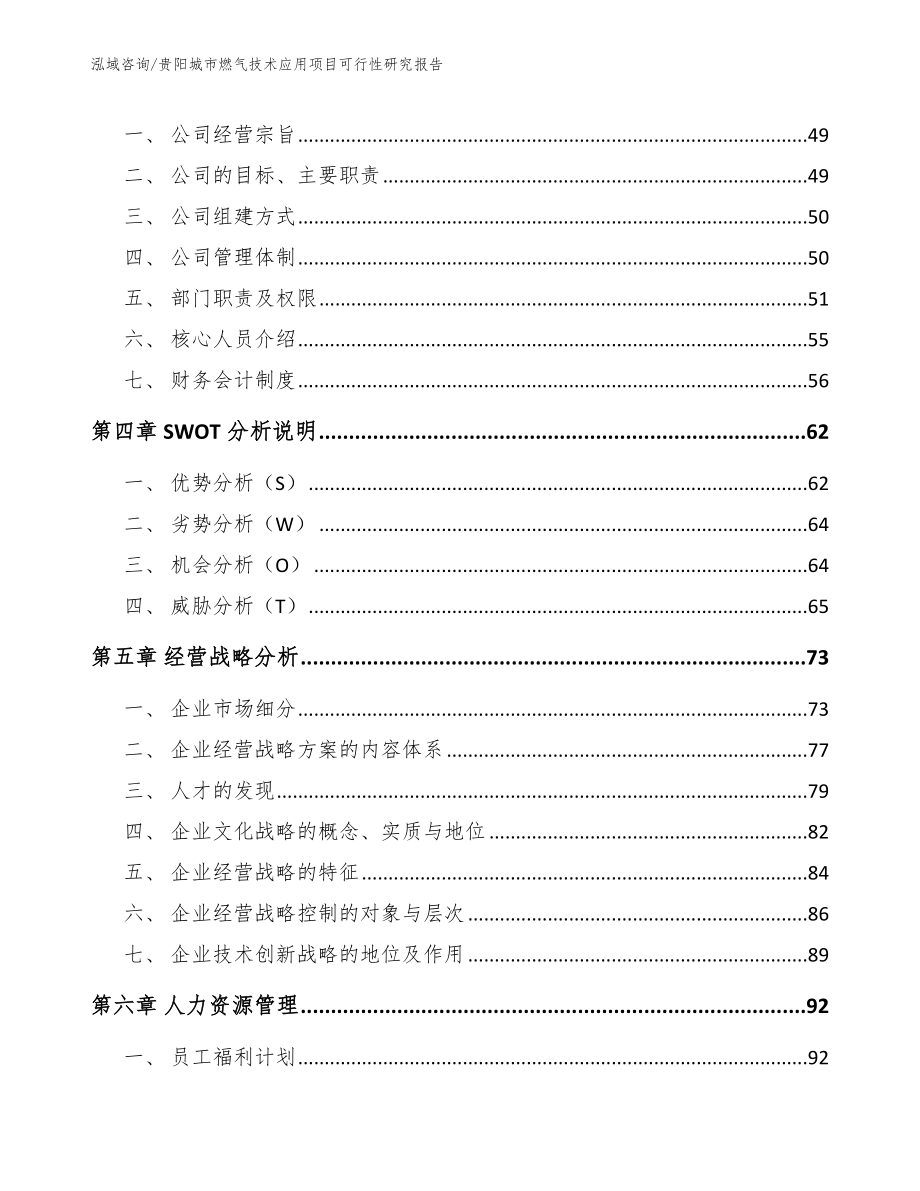 贵阳城市燃气技术应用项目可行性研究报告_第3页