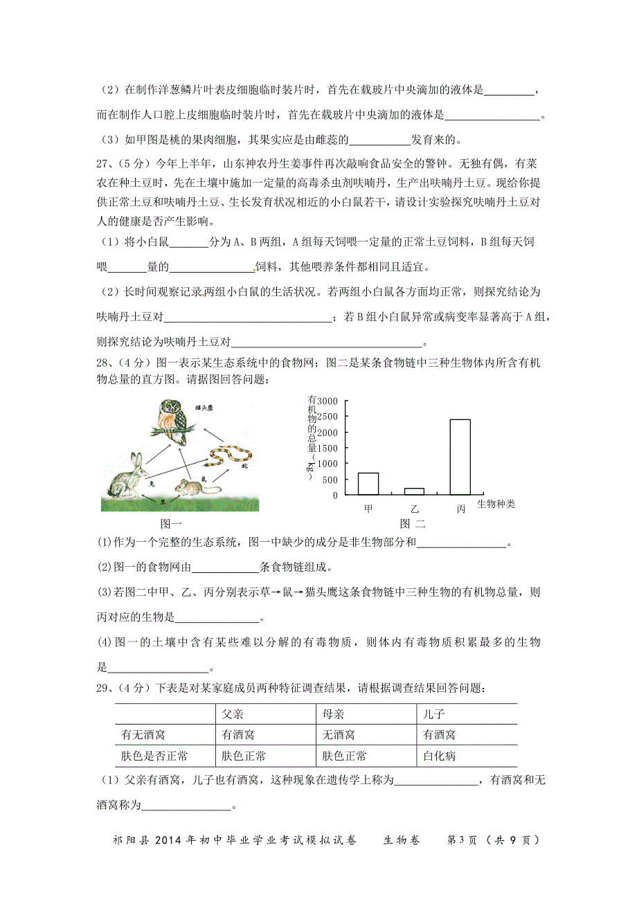 祁阳县2014年初中毕业学业考试模拟试卷.doc_第4页