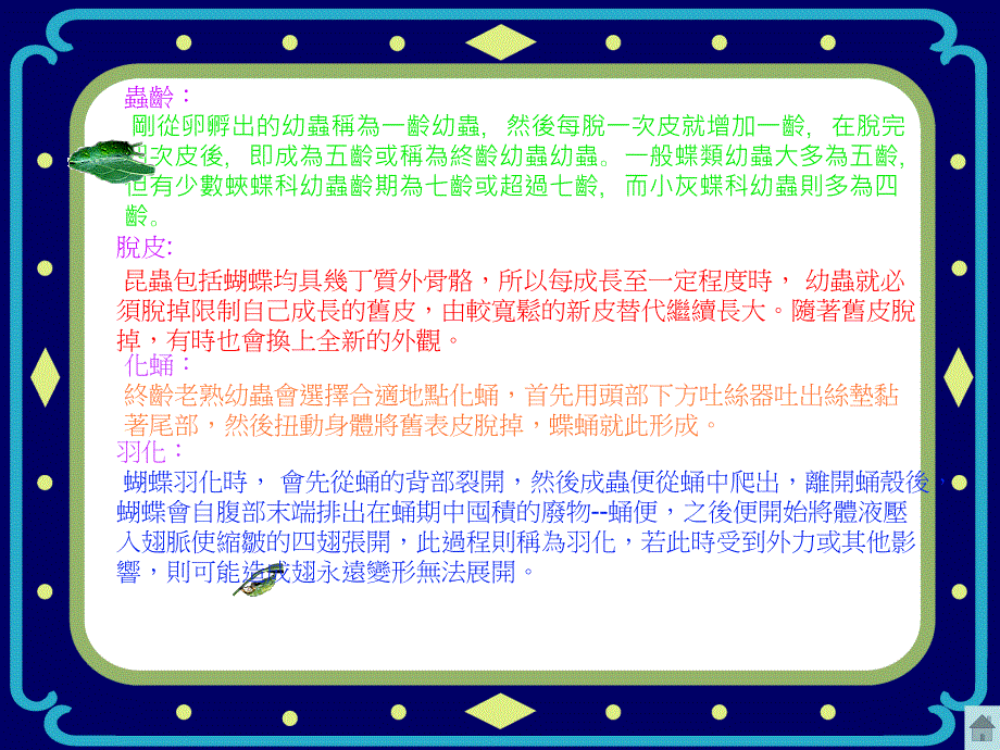 成熟的凤蝶幼虫化蛹前会停止摄食课件_第4页