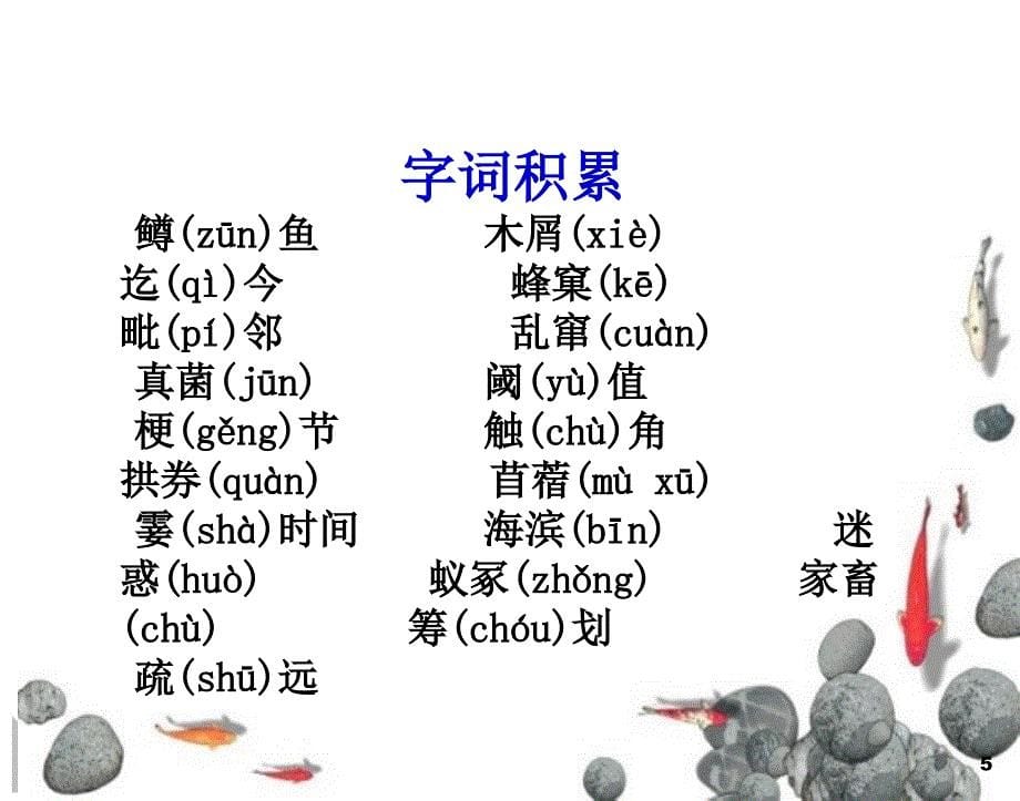 自然现象的启示_第5页