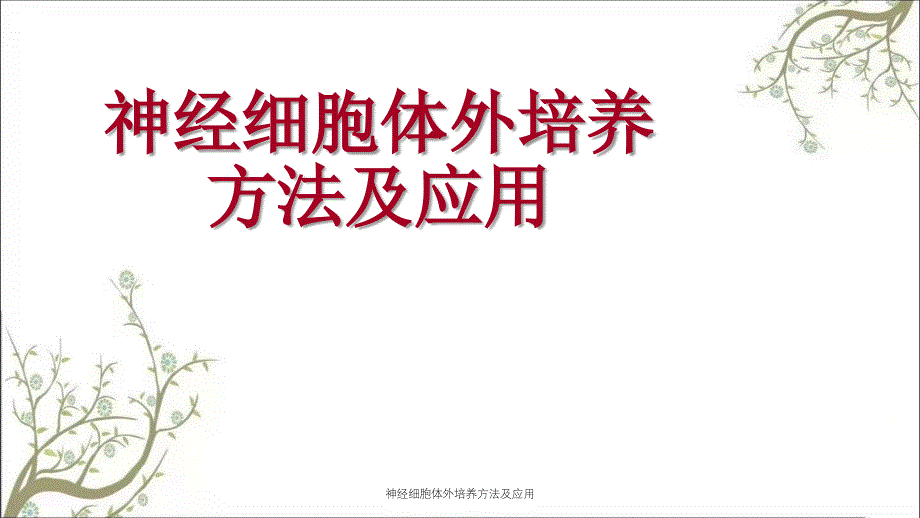 神经细胞体外培养方法及应用_第1页