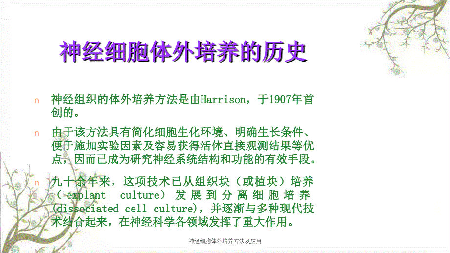 神经细胞体外培养方法及应用_第2页