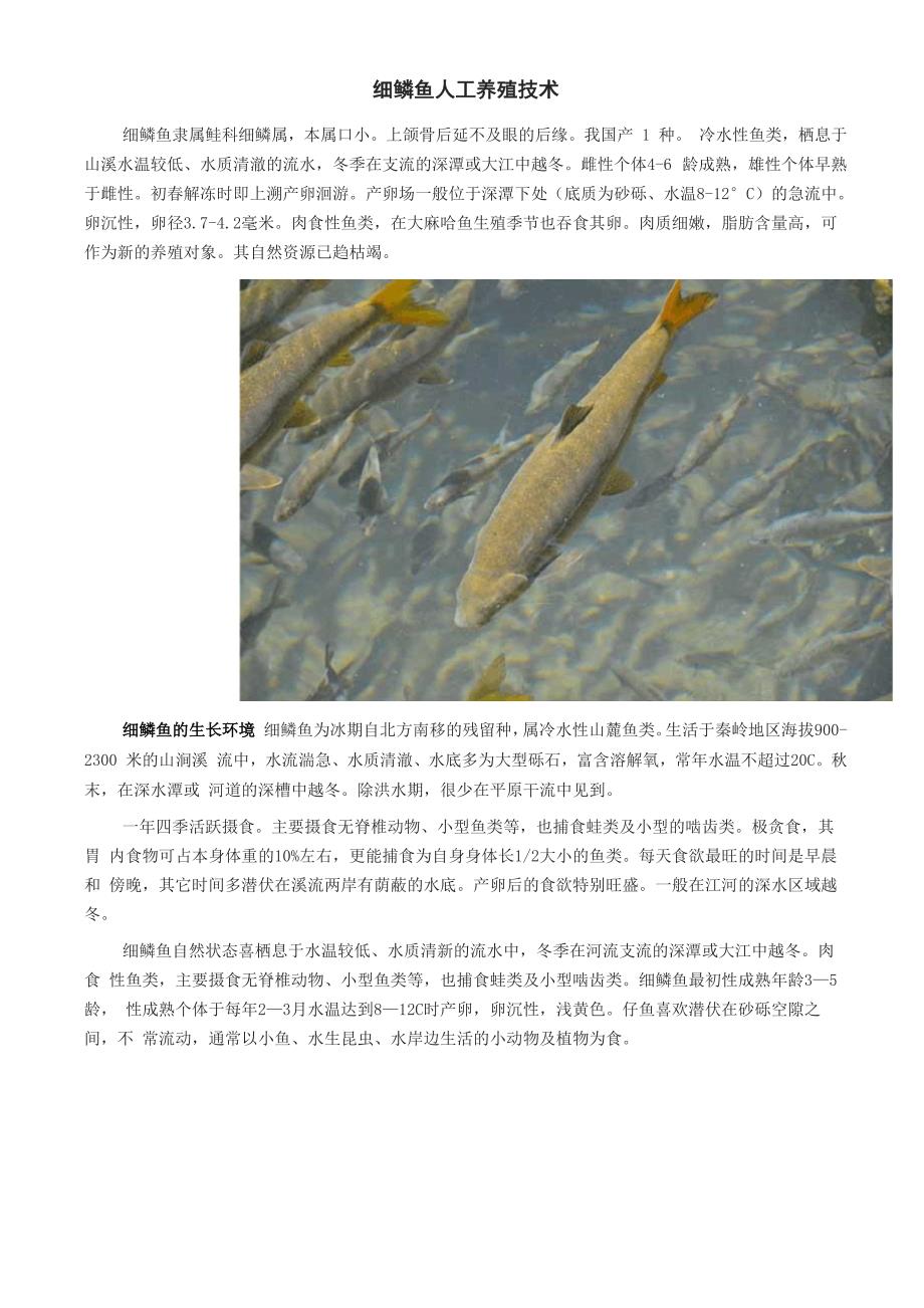 细鳞鱼人工养殖技术_第1页