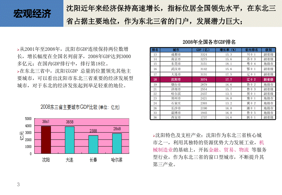 红星地产铁西项目招商简介_第3页