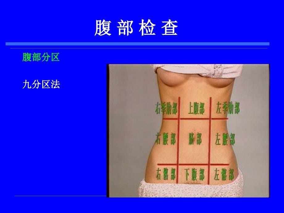 医学诊断学课件：腹部诊断学_第5页