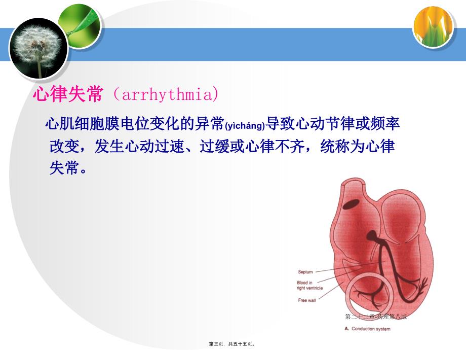 第二十二章药理第八版课件_第3页