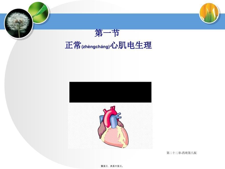 第二十二章药理第八版课件_第5页