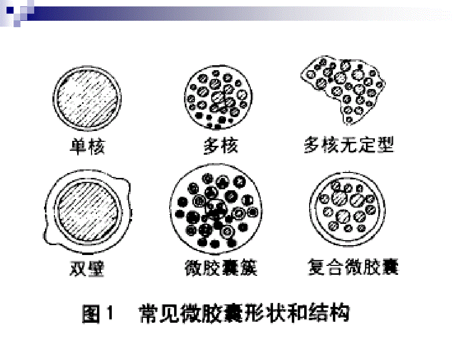 染整助剂与纺织生物_第3页