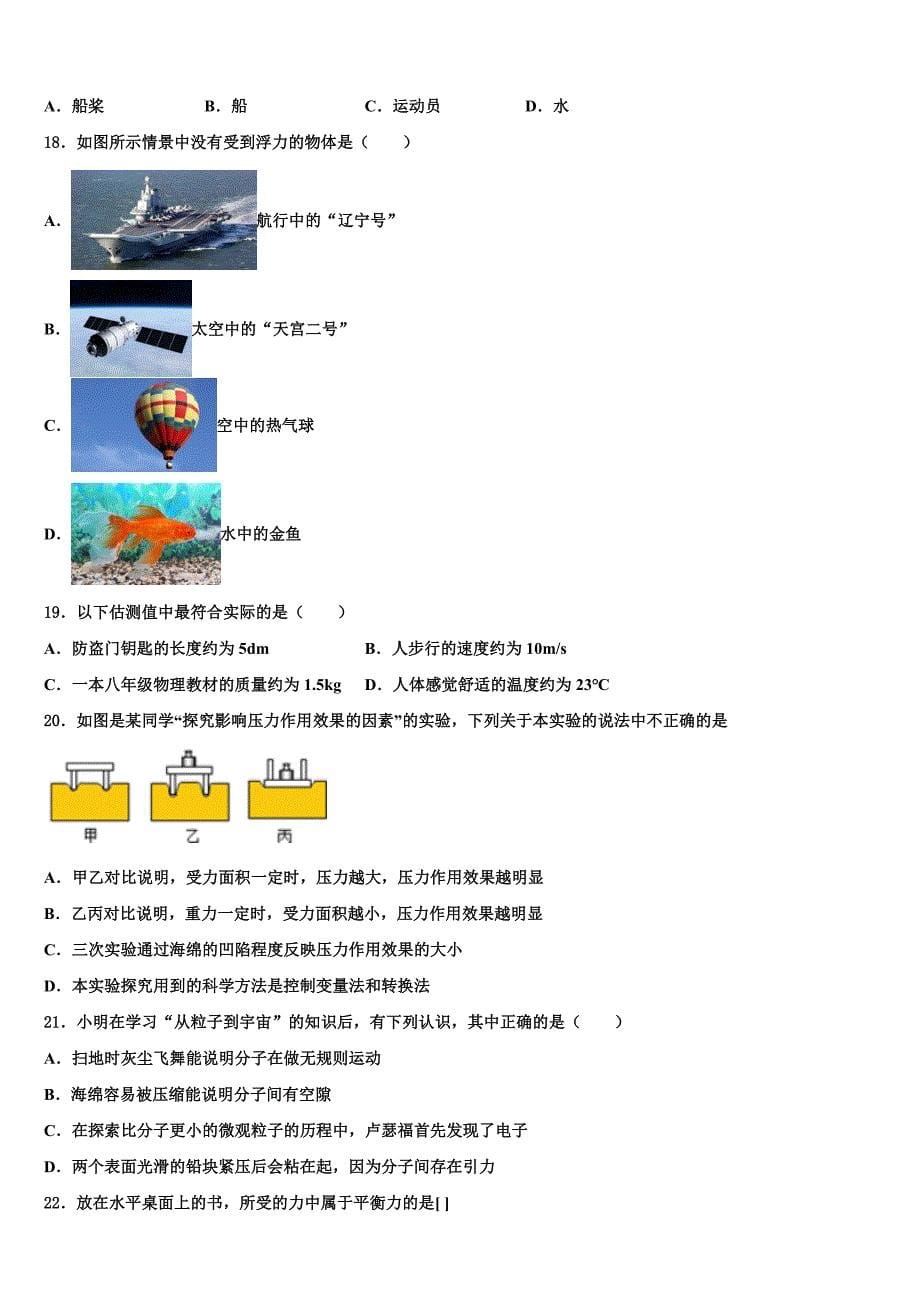 2023学年湖南师大附中物理八年级第二学期期末检测试题（含解析）.doc_第5页