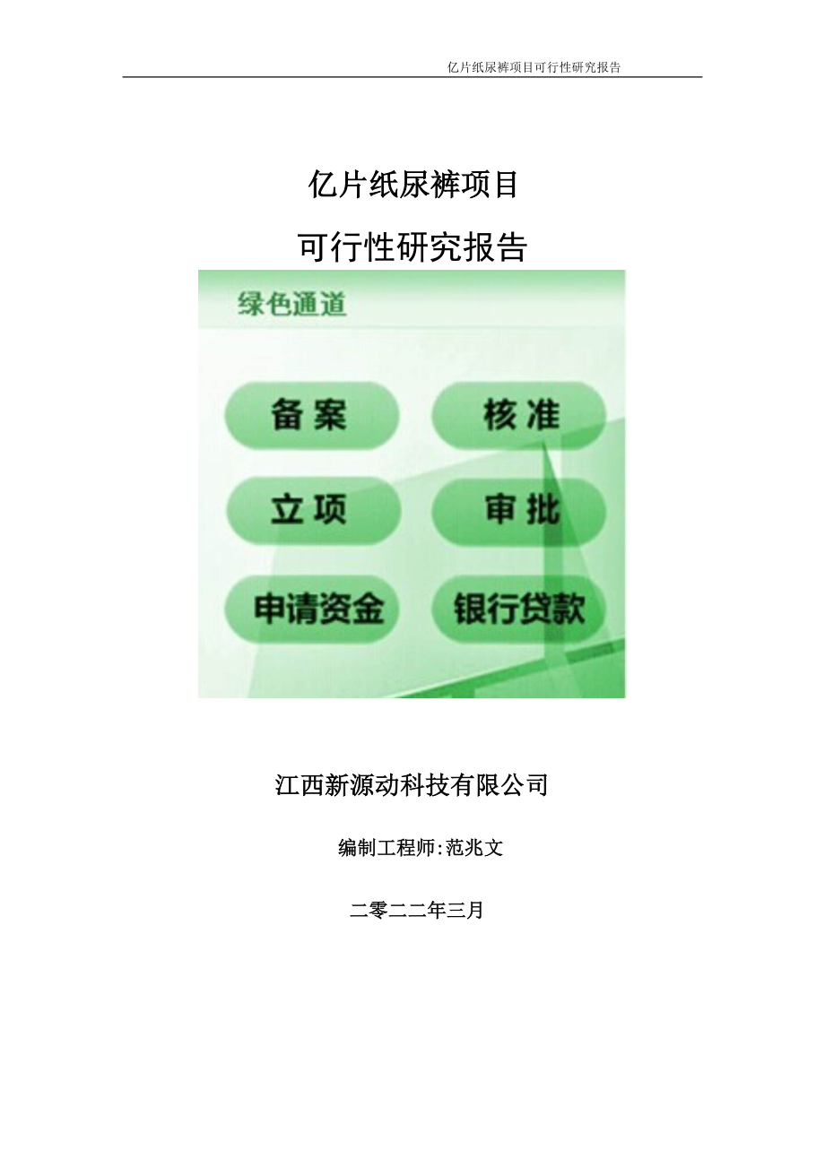 亿片纸尿裤项目可行性研究报告-申请建议书用可修改样本.doc_第1页