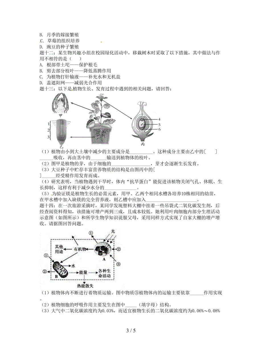 中考生物专题复习生物圈中的绿色植物新题赏析.doc_第3页