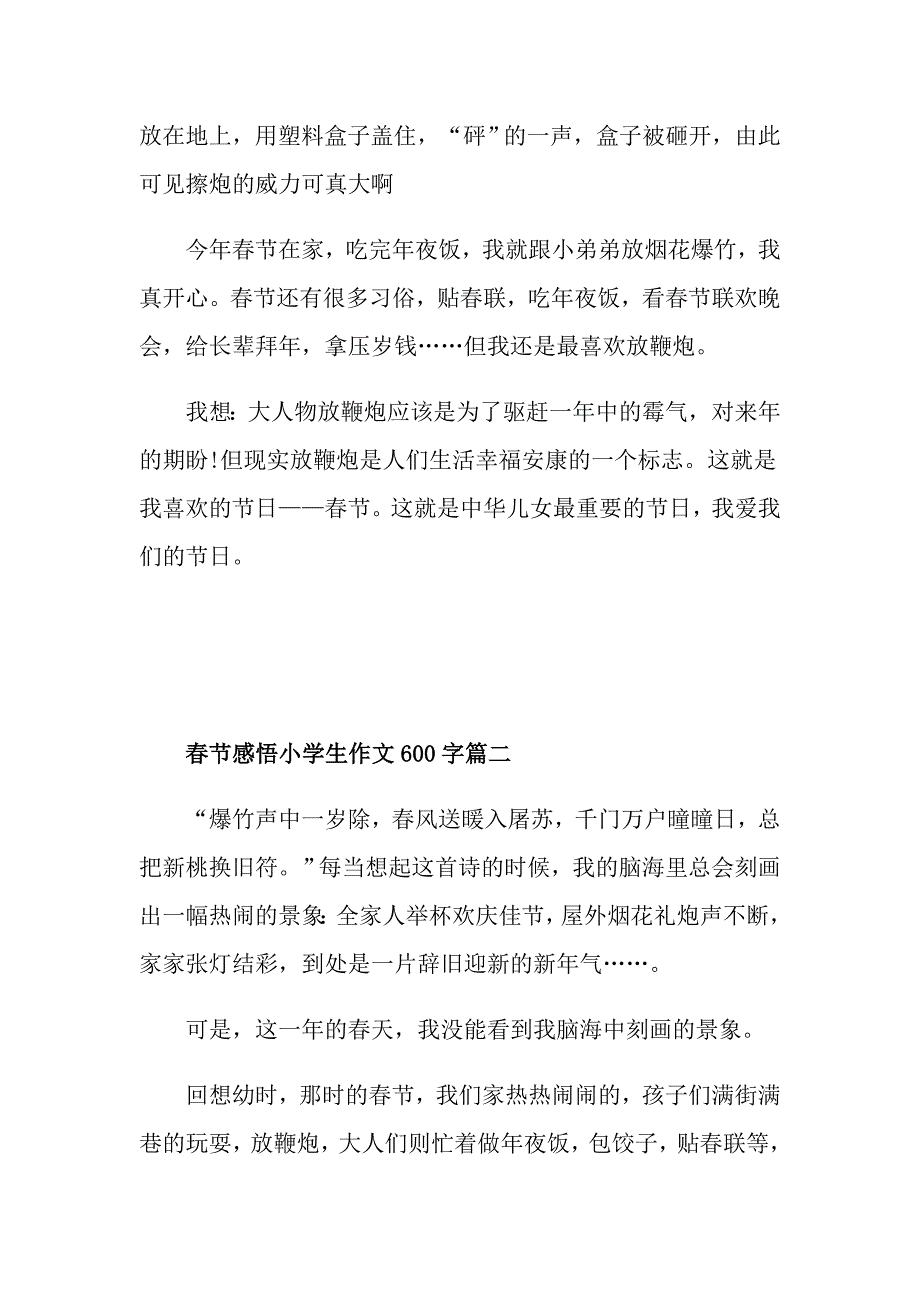 2021年节感悟小学生作文600字_第2页