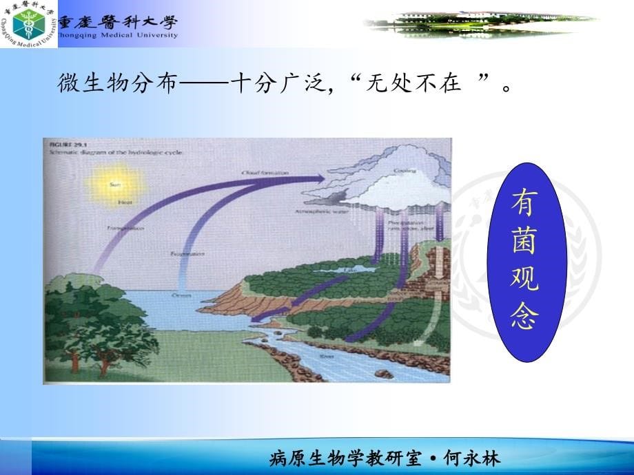 病原生物学：医学微生物学_第5页