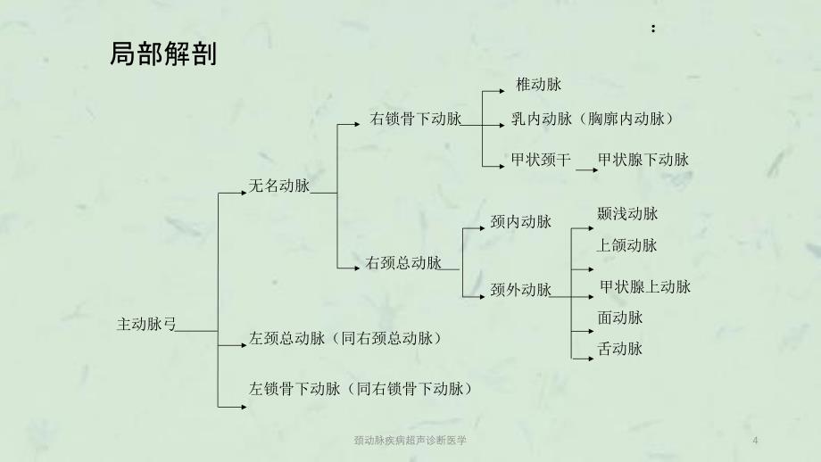 颈动脉疾病超声诊断医学课件_第4页