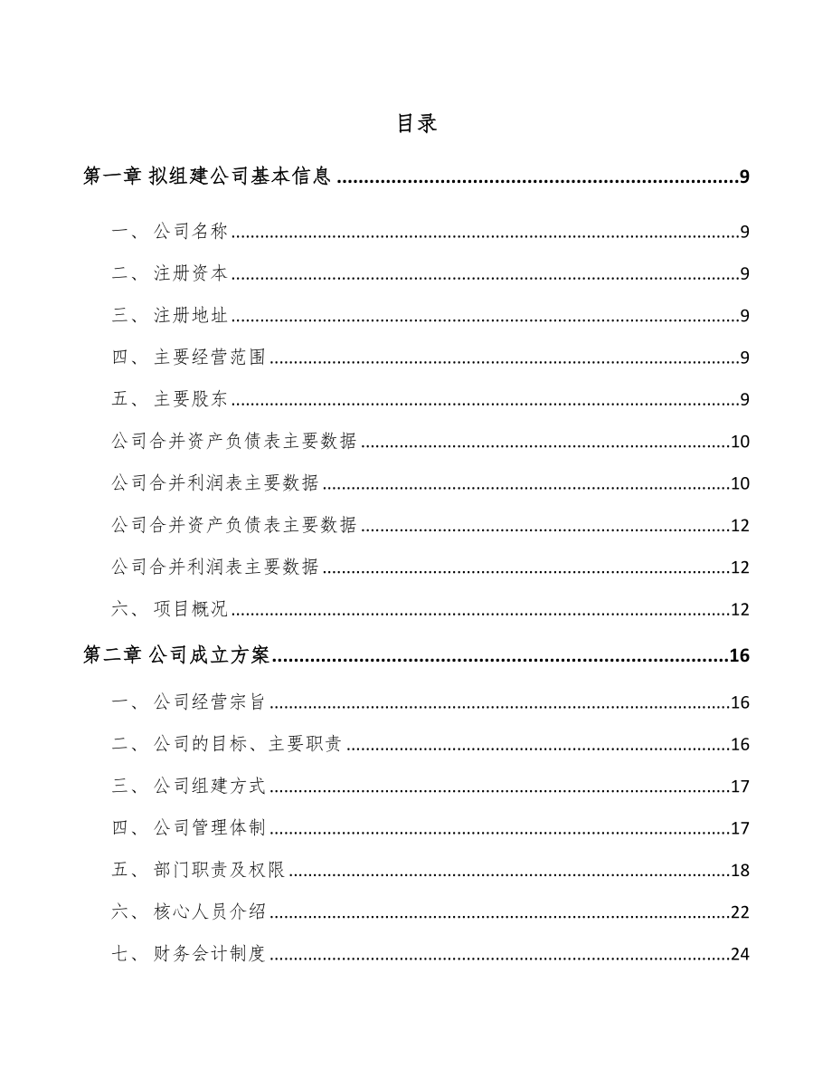 江西关于成立驱动系统产品公司可行性研究报告_第2页