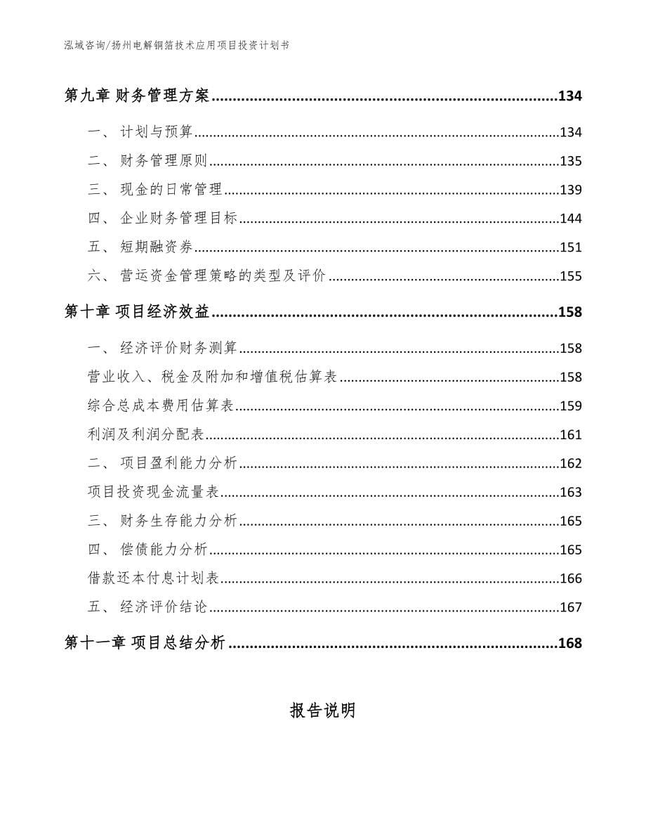 扬州电解铜箔技术应用项目投资计划书_范文参考_第5页